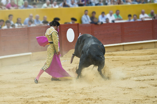 Torero toreando en una corrida típica española.