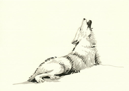watercolors technique, hand painting - howling wolf