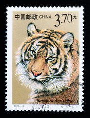 Stamp shows Panthera tigris altaica, series, circa 2000