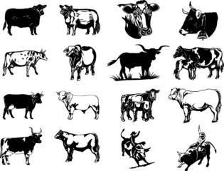 Bulls and cows silhouettes