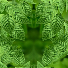 Natural green background