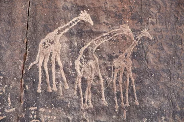 Raamstickers Ancient rock engraving in Sahara Desert © Dmitry Pichugin