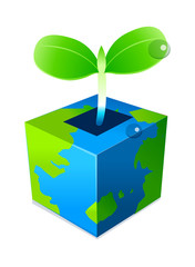 vector icon cube and sprout