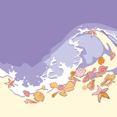 Shells and starfishes on sand background