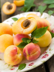 apricots