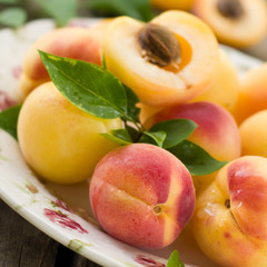 apricots