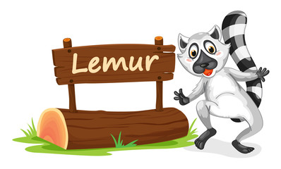 lemur and name plate © GraphicsRF