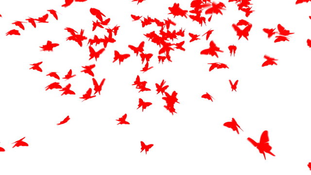 A heart shape formed by a flock of butterflies landing.