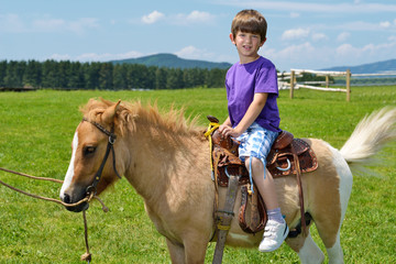 child ride pony