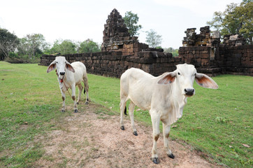 Fototapeta premium sito archeologico Khmer di Kuti Reusi in Tailandia