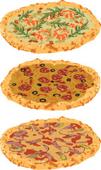 a set of different pizzas