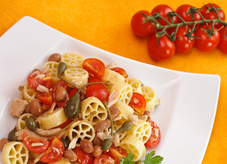 Pasta fredda italiana - Ruote con tonno e verdure