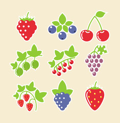 set of berry food icon vector illustration