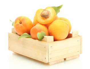 ripe apricots with green leaves in wooden box isolated on white