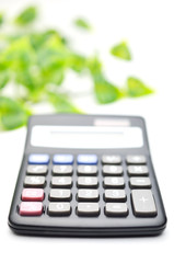 電卓　黒　観葉植物　白バック