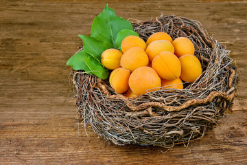 Apricots in a basket