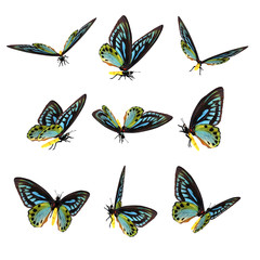 Beautiful 3D Butterflies