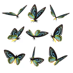 Stof per meter Vlinders Prachtige 3D-vlinders