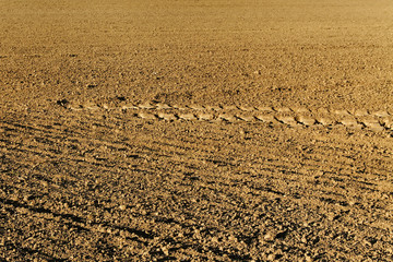 Track on soil.