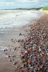 Coast of Baltic sea.