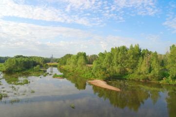 Summer landscape with trees