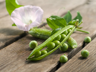 sweet pea