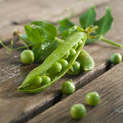 sweet pea
