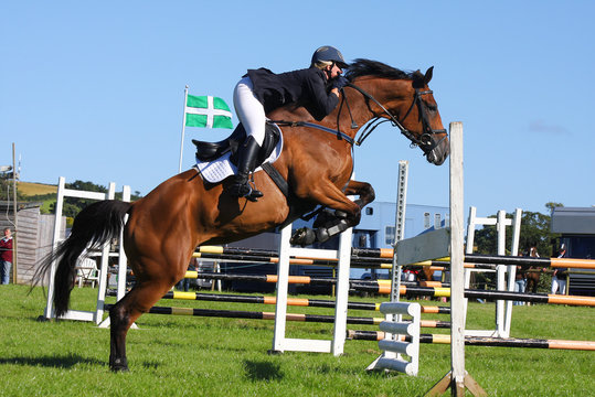 Show jumping with brown horse in England