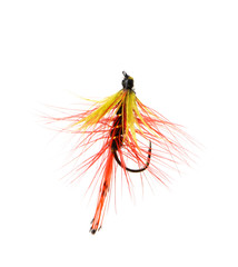 Fly fishing lure