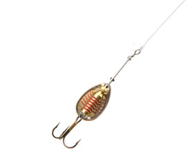 Fishing lure on fishing line