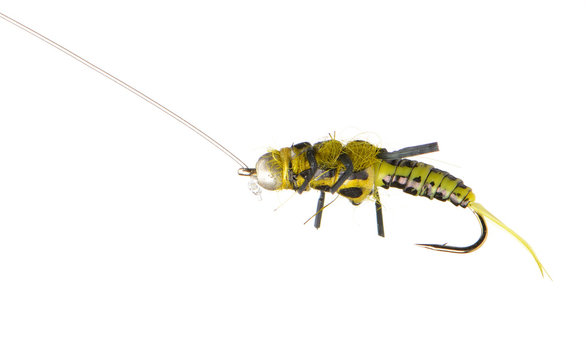 Fly fishing lure wasp