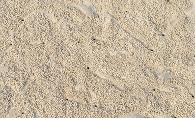 Sand Texture