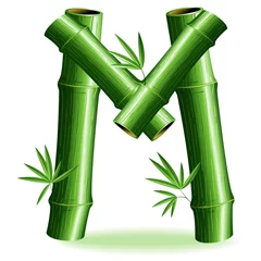 Light filtering roller blinds Draw Bambù Lettera M - Bamboo Logo Sign Letter M - Vector