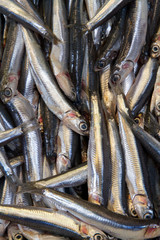 Obraz premium al mercato - pesce fesco