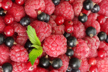 ripe berries with mint, close up.