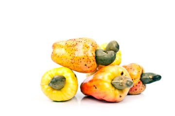 Cashew Nut Apple and Fresh Cashew Nut