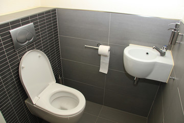 Toilet in shades of grey