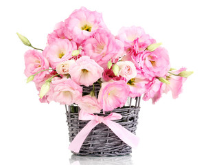 bouquet of eustoma flowers in  wicker vase, isolated on white
