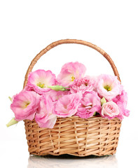 Fototapeta na wymiar Bukiet eustoma kwiatów w koszyku, na białym tle