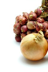 Fresh Onion and Red Onion