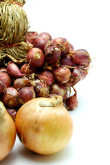 Fresh Onion and Red Onion