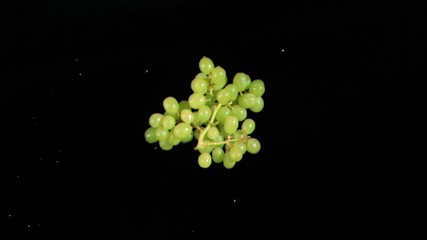 Green grape throwing in super slow motion