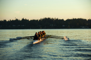 Team rowing boat in bay