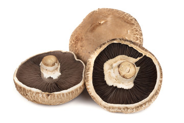 Portobello Mushrooms Isolated on White