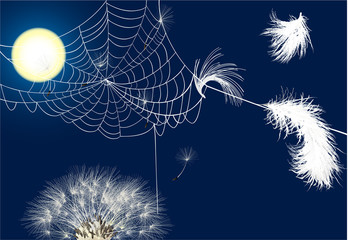 feathers in spider web illustration
