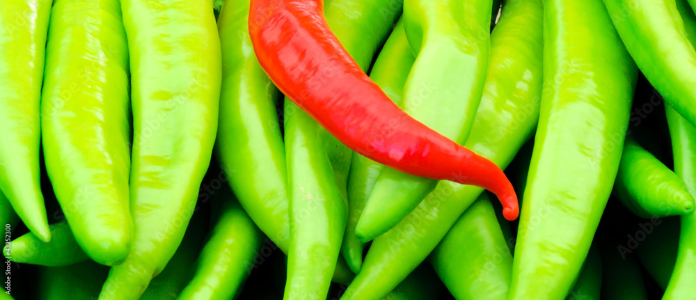 Wall mural Red and green peppers