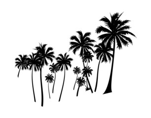 vector icon palm tree