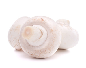 Champignon mushroom