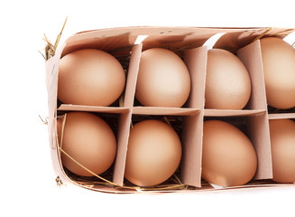 Eggs in pack