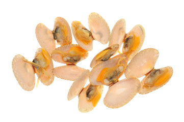 Cooked Clams Isolated On White Background